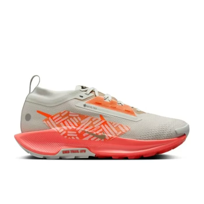 Pegasus Trail 5 Gore-Tex-Nike Hot
