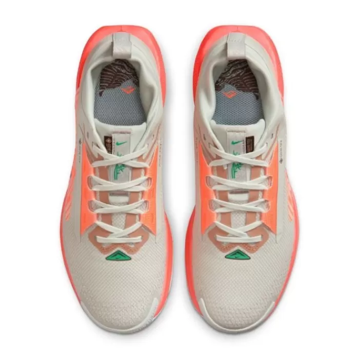 Pegasus Trail 5 Gore-Tex-Nike Hot