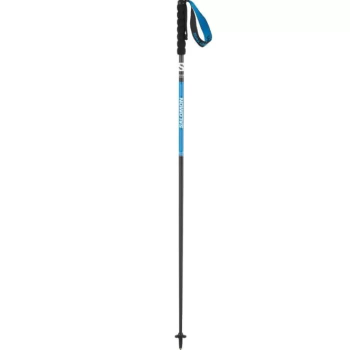 Pulsar Carbon Poles-Salomon Best Sale