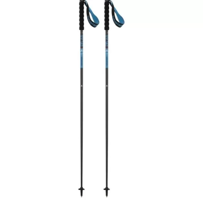 Sense Poles-Salomon Online