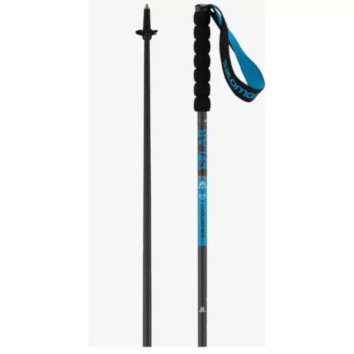 Sense Poles-Salomon Online